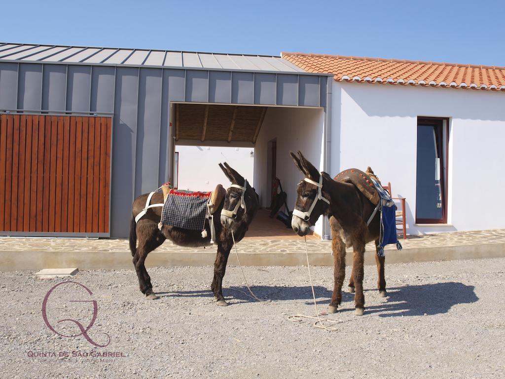 马林堡Quinta De Sao Gabriel别墅 外观 照片
